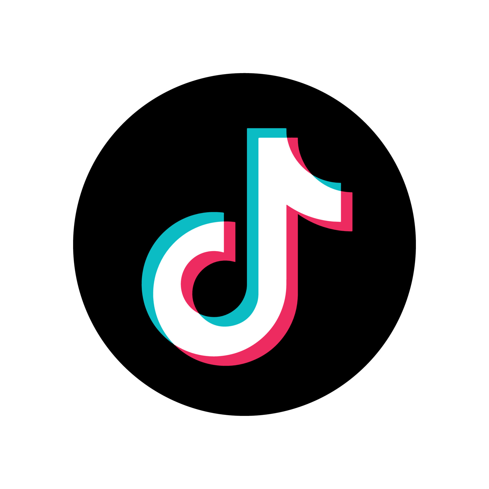 Logo TikTok para campañas de visibilidad de vídeo en la herramienta más popular